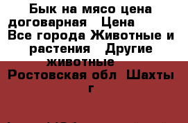 Бык на мясо цена договарная › Цена ­ 300 - Все города Животные и растения » Другие животные   . Ростовская обл.,Шахты г.